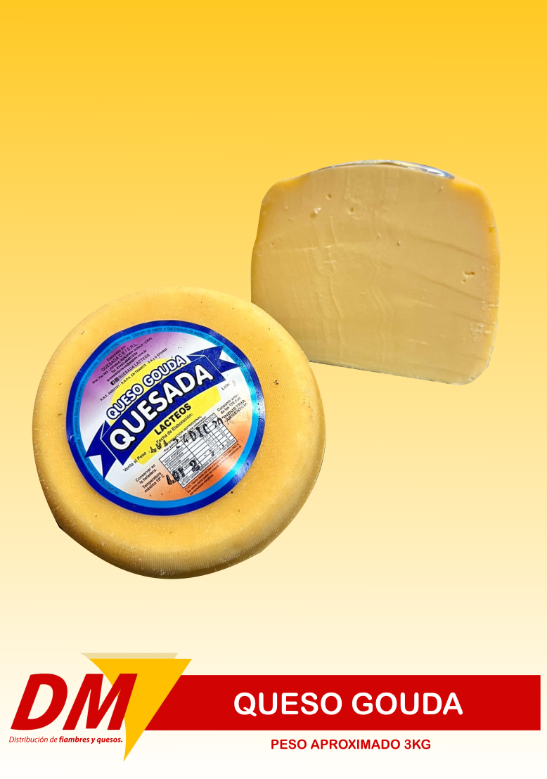 Gouda